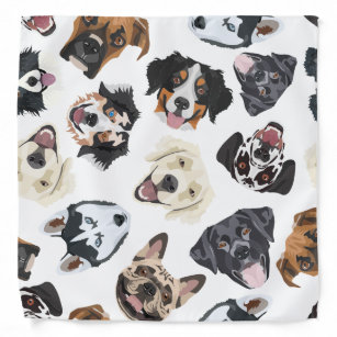 bulldog with bandana