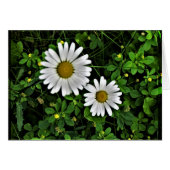 Cheerful Mother and Child Daisies (Front Horizontal)