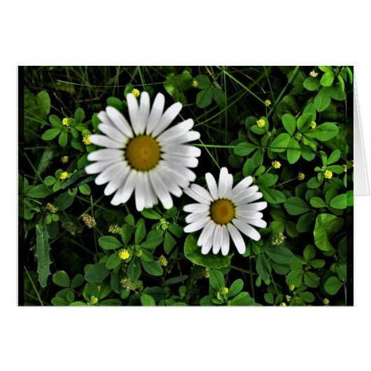 Cheerful Mother and Child Daisies Cards (Front Horizontal)