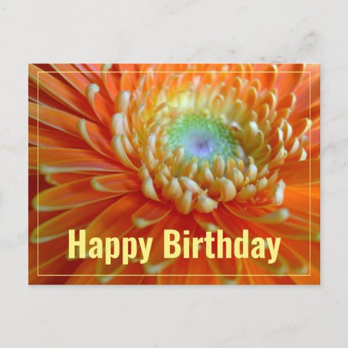 Cheerful Orange Gerber  Happy Birthday Postcard