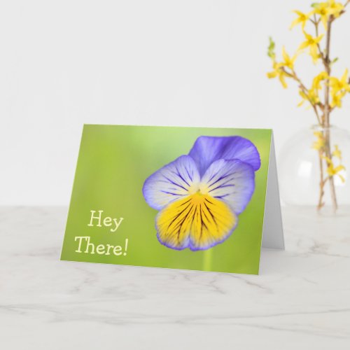 Cheerful Pansy Get Well Card