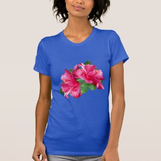 Cheerful Pink Hibiscus Qween Blooms