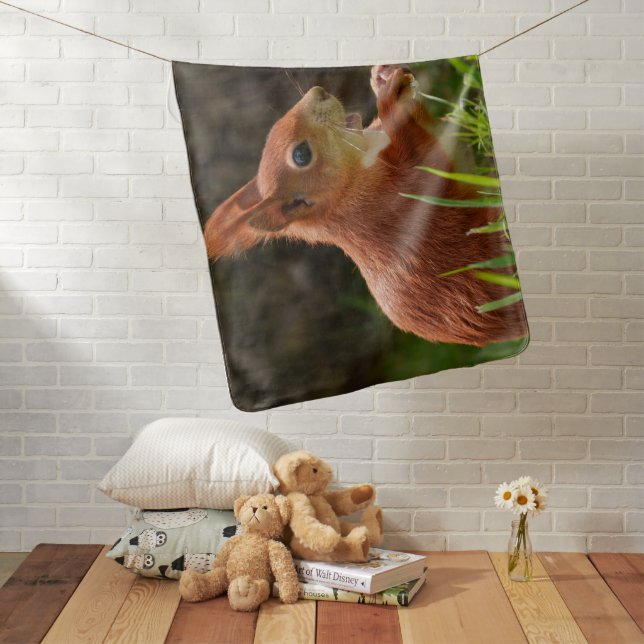 Cheerful Red Squirrel Baby Blanket (In Situ)