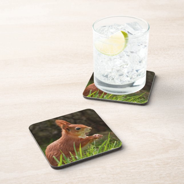Cheerful Red Squirrel Beverage Coaster (Right Side)