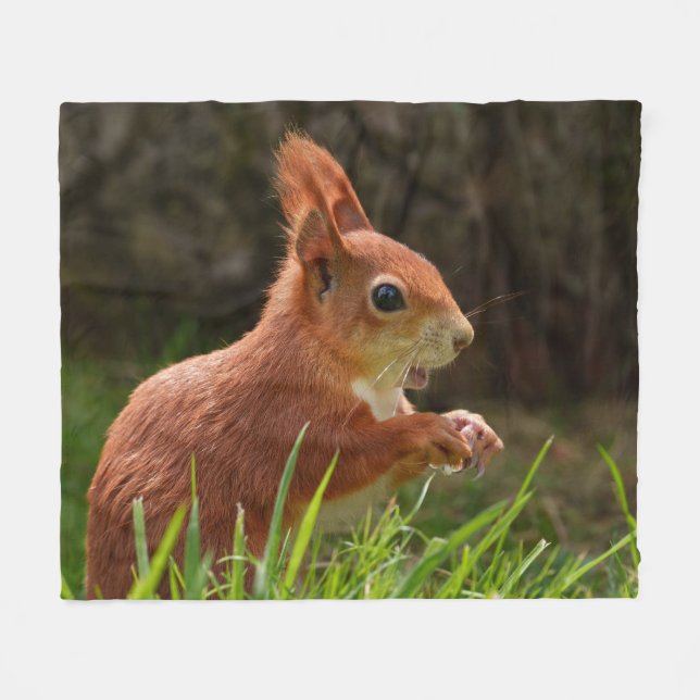 Cheerful Red Squirrel Fleece Blanket (Front (Horizontal))