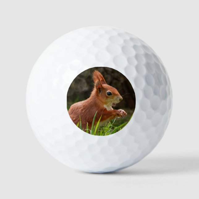 Cheerful Red Squirrel Golf Balls (Front)