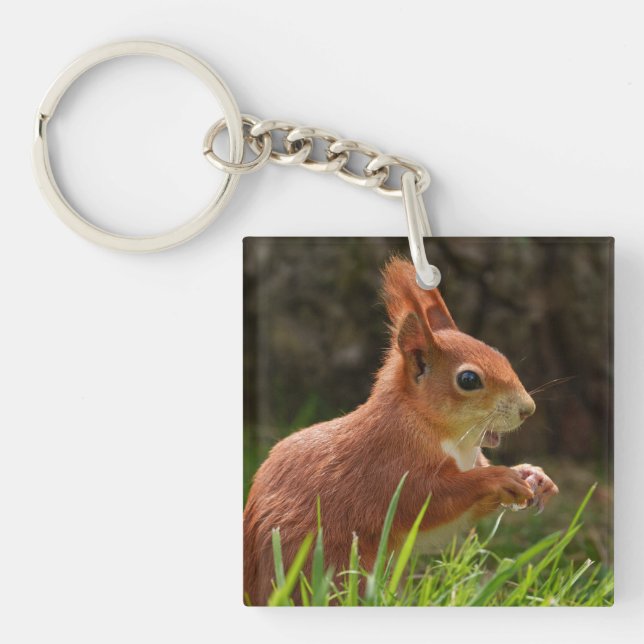 Cheerful Red Squirrel Keychain (Front)