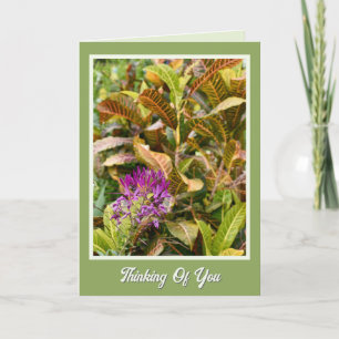 Cheerful Speedy Recovery Thinking of You Card