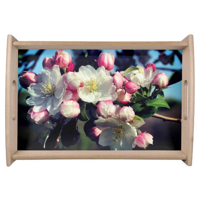 Cheerful Spring Crabapple Flower Blossoms  Serving Tray (Front)