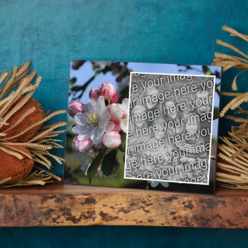 Cheerful Spring Flower Blossoms Add Your Own Photo Plaque