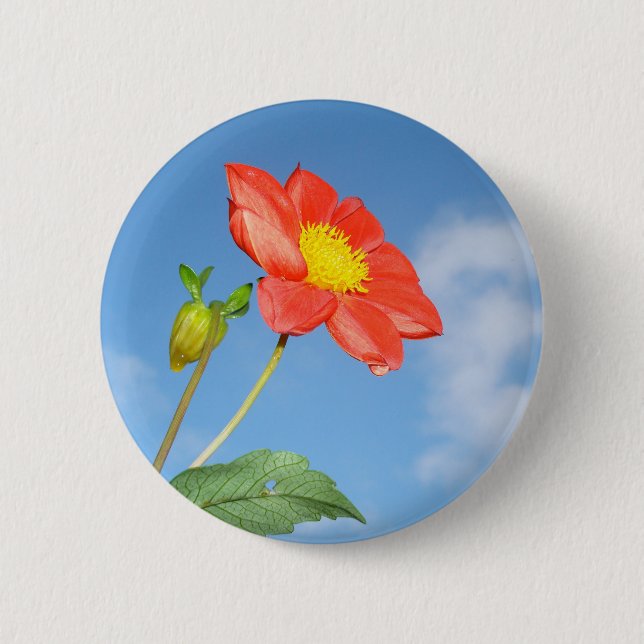 Cheerful Strawberry blossom Button (Front)