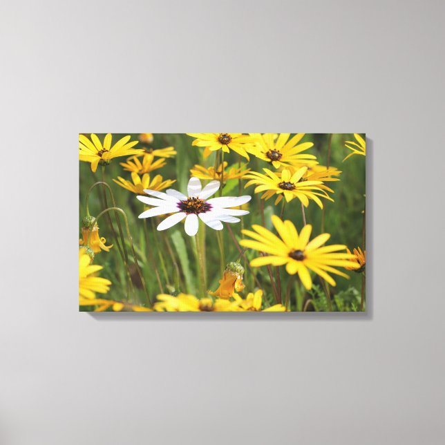 Cheerful yellow and white flowers canvas print (Front)