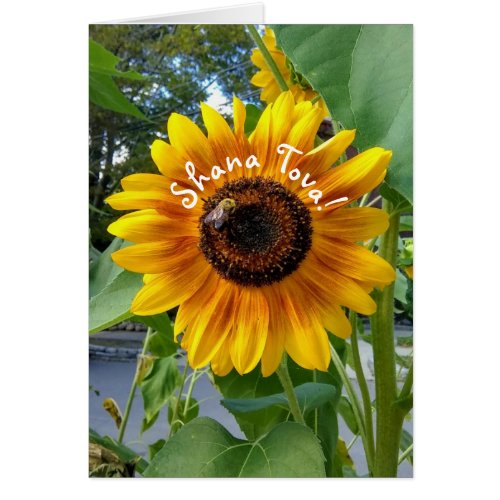 Cheerful Yellow Sunflower Rosh Hashanah Card
