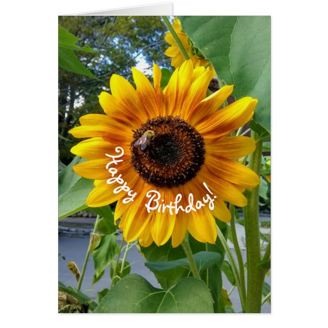 Cheerful Yellow Sunflower with Bee Birthday (Front)