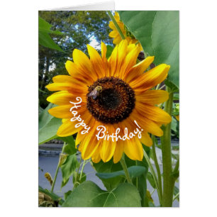 Cheerful Yellow Sunflower with Bee Birthday Cards