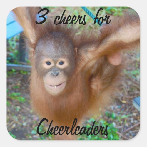Cheering for Cheerleaders Square Sticker