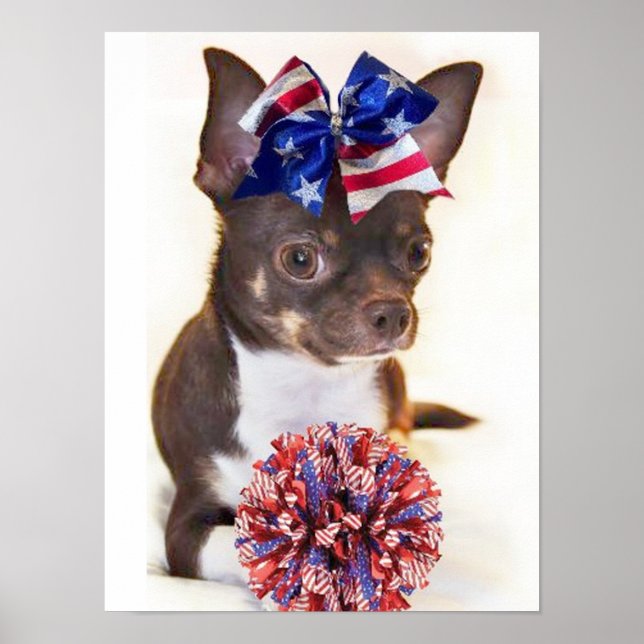 Cheerleader Chihuahua dog Poster (Front)