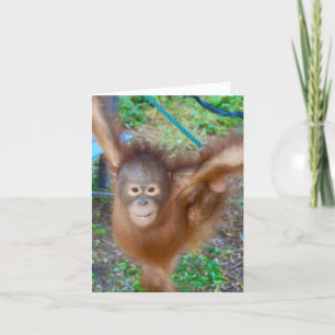 Cheerleader : Team Orangutan Card