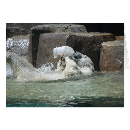 Cheers! (Front Horizontal)