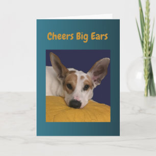 Cheers Big Ears Happy Birthday Card