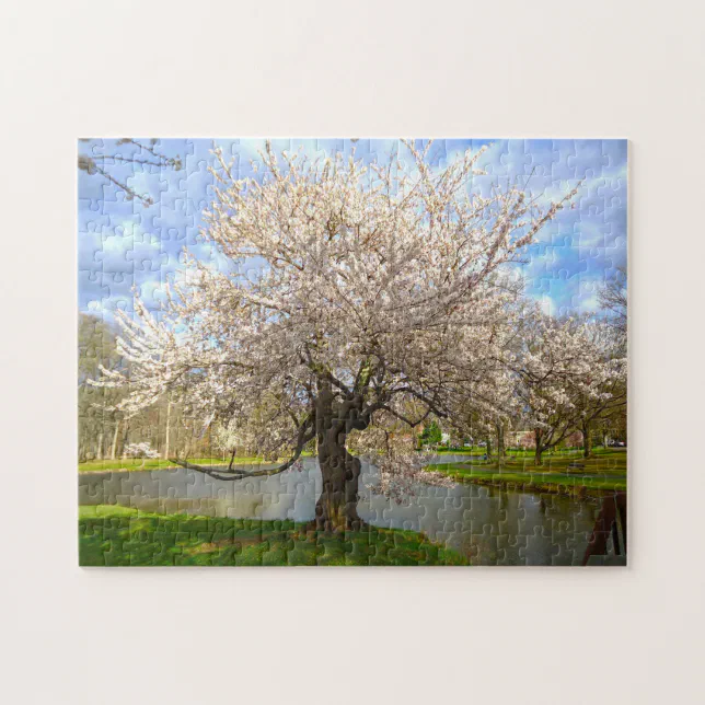 Cheery Blossom New Jersey. Jigsaw Puzzle | Zazzle