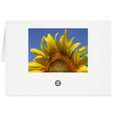 Cheery Cards (Back Horizontal)