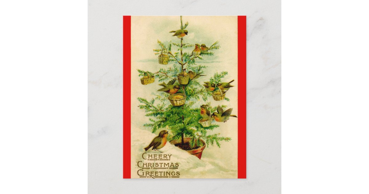 Cheery Christmas Greetings Vintage Postcard Zazzle
