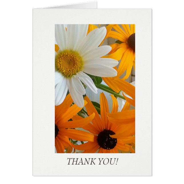 Cheery daisy "thank you" for all occasions cards (Front)