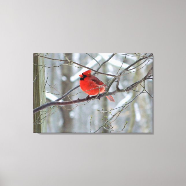 Cheery Red Cardinal Wrapped Canvas Print (Front)