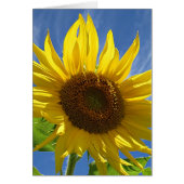 Cheery Sunflower (Front)