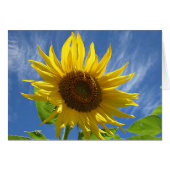 Cheery Sunflower (Front Horizontal)