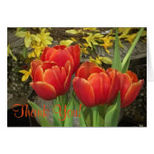 Cheery Tulip Thankyou (Front Horizontal)