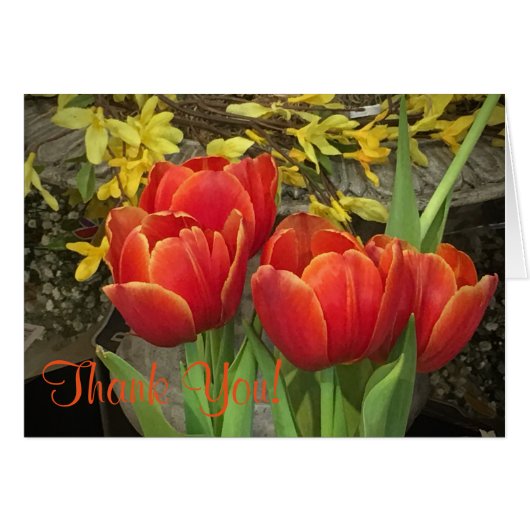 Cheery Tulip Thankyou Cards (Front Horizontal)