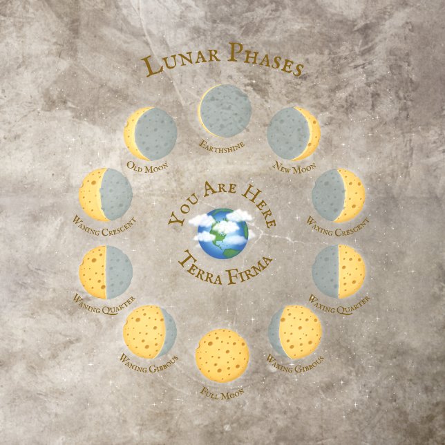 Cheese Moon Whimsical Lunar Phases Chart Astronomy Floor Decals (Insitu)