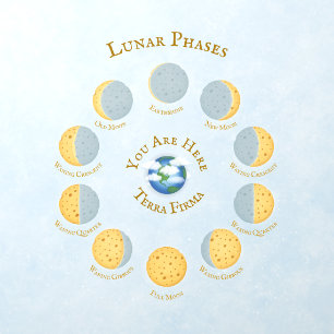 Cheese Moon Whimsical Lunar Phases Chart Astronomy Wall Decal