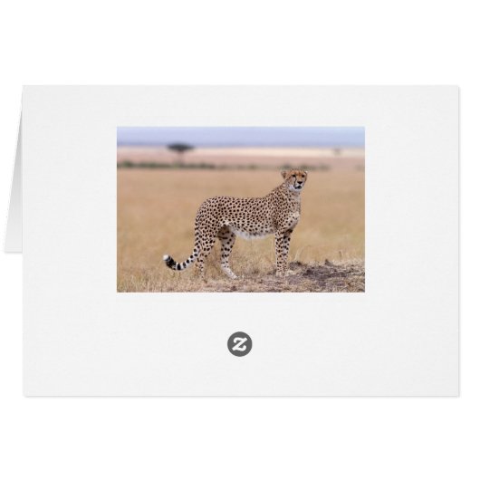 Cheetah (Back Horizontal)