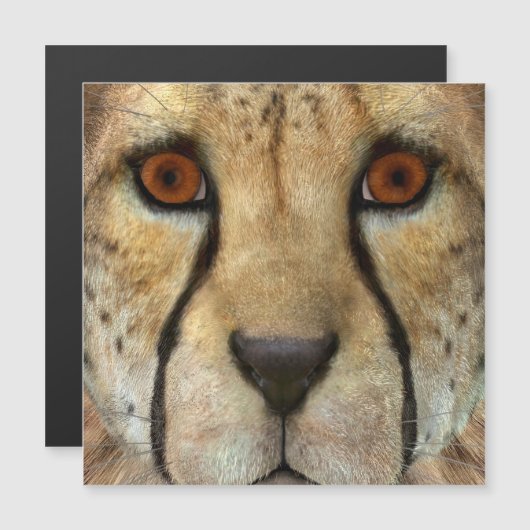 Cheetah (Front/Back)