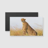 Cheetah (Front/Back)