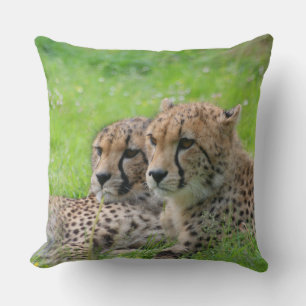 Cheetah 001 throw pillow