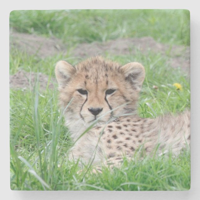 Cheetah 002 stone coaster (Front)