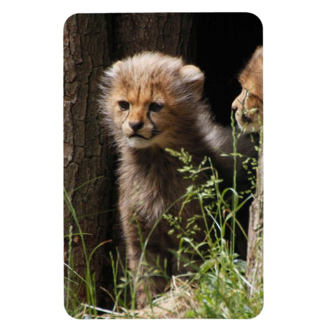 Cheetah 005 magnet (Vertical)
