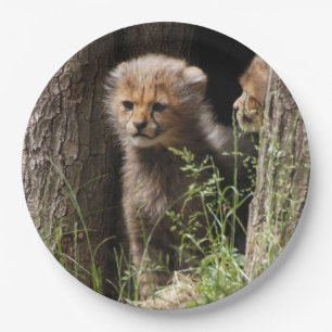 Cheetah 005 paper plates