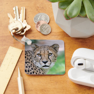 Cheetah 009 keychain