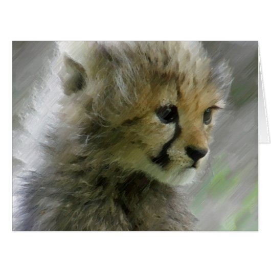 Cheetah 014 (Front Horizontal)