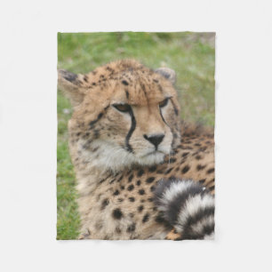 Cheetah 1115 fleece blanket