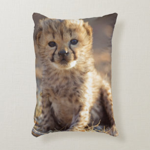 Cheetah 19 days old male cub accent pillow