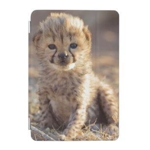 Cheetah 19 days old male cub iPad mini cover