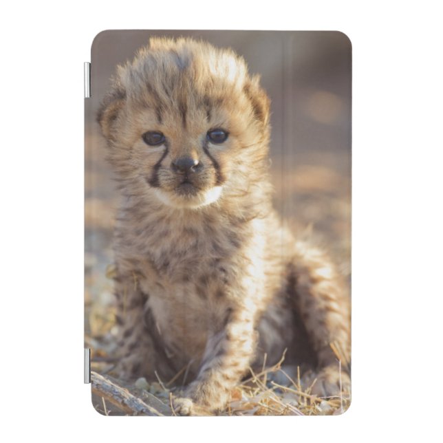 Cheetah 19 days old male cub iPad mini cover (Front)