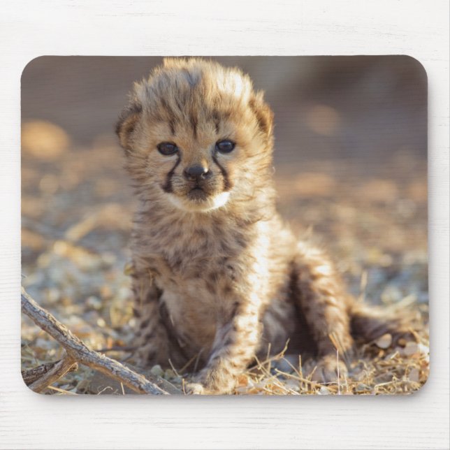 Cheetah 19 days old male cub mouse pad (Front)