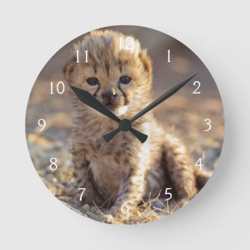 Cheetah 19 days old male cub round clock